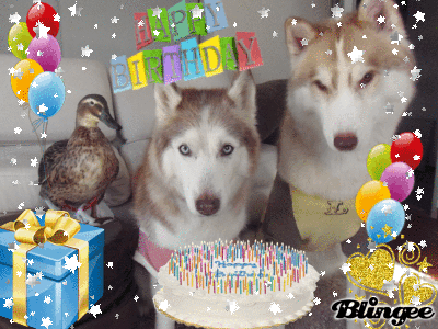 tubuBirthday tubuBirthday