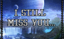 I Still Miss You ...