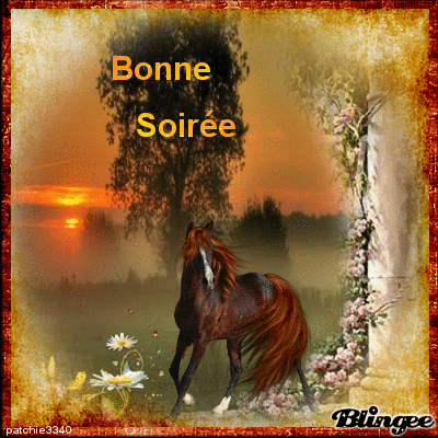 BONNE SOIREE
