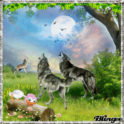 Les loups