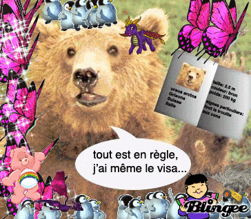 Rencontre avec un ours que faire
