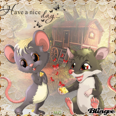 Https Encrypted Tbn0 Gstatic Com Images Q Tbn And9gcrm7ml87n3tkoutmegtf7ccd S2rkv3he0nnq Usqp Cau