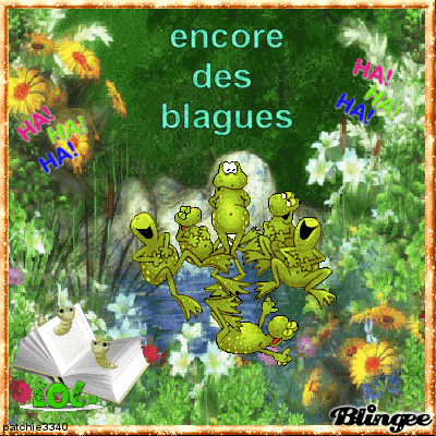 ENCORE DES BLAGUES