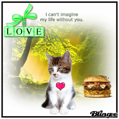 I Can`t Imagine My Life Without You Picture #135384587 | Blingee.com