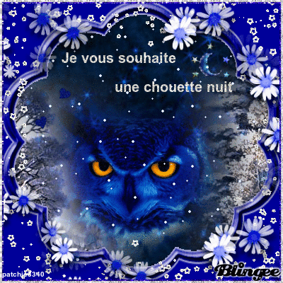 UNE CHOUETTE NUIT