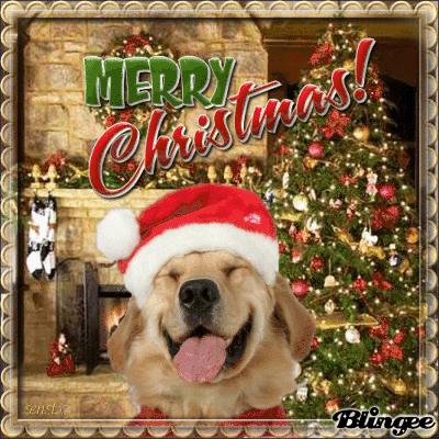 merry christmas labrador