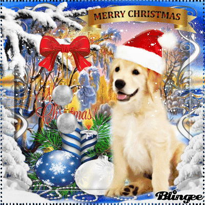 christmas Picture #135550376 | Blingee.com