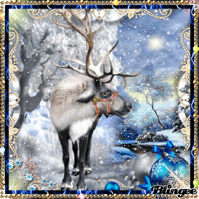 Christmas reindeer Picture #135571366 | Blingee.com