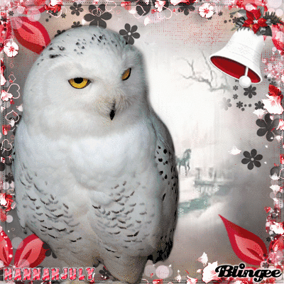 Winter Challenge - My entry #3