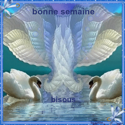 Résultat de recherche d'images pour "bonne semaine blingee"