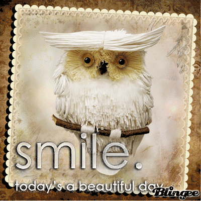 Https Encrypted Tbn0 Gstatic Com Images Q Tbn 3aand9gcrkz6k8eec7al7z6s7uvrgn2rnurzxgriiynq Usqp Cau