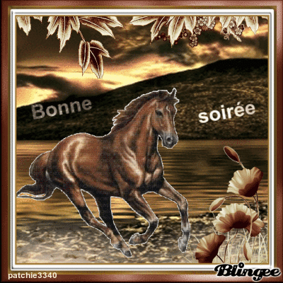 BONNE SOIREE