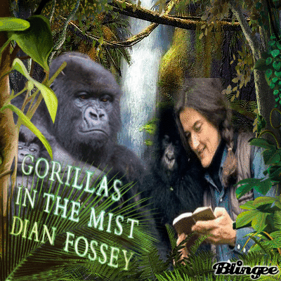 dian fosseys gorillas in the mist essay dian fosseys gorillas in the mist essay