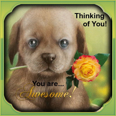 Has Anyone Told You Today... Picture #136017441 | Blingee.com