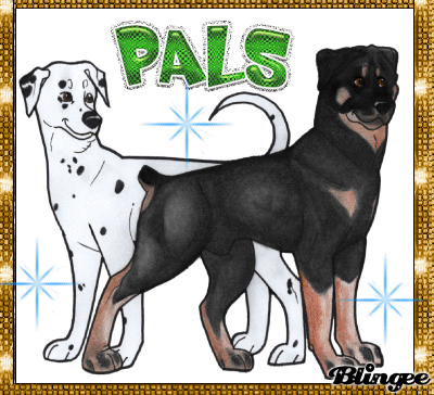 dalmatian rottweiler