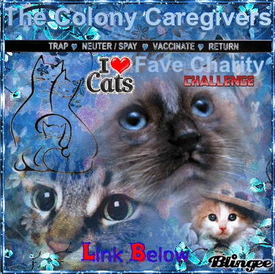 colony caregivers