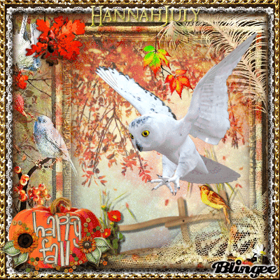 Owl Autumn - My Entry #II