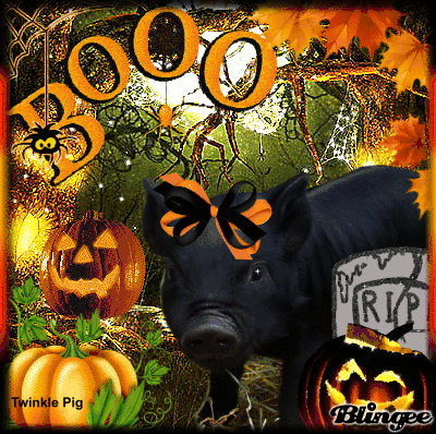 Https Encrypted Tbn0 Gstatic Com Images Q Tbn And9gcqrdbp 0cityy3 A6wt5t93ajptqjiqeixxbq Usqp Cau