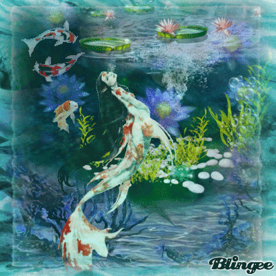 Mermaid Koi Picture 136125991
