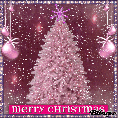 Https Encrypted Tbn0 Gstatic Com Images Q Tbn 3aand9gcsjfoot9cees6m7zn4sgwdxfajkl Xi5hzmlq Usqp Cau