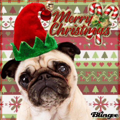 Merry Christmas Pug Picture 136176276 Blingee Com