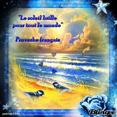 LE SOLEIL BRILLE POUR TOUT LE MONDE 4