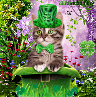 cat's st patricks day Image #136316514 | Blingee.com