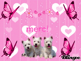 merci