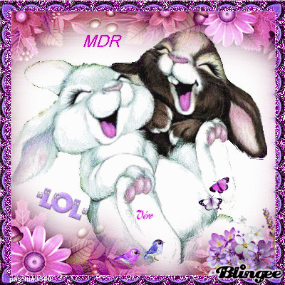 LAPINS MDR