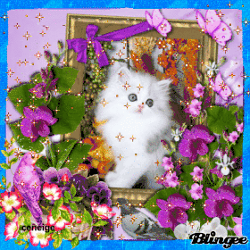 chat