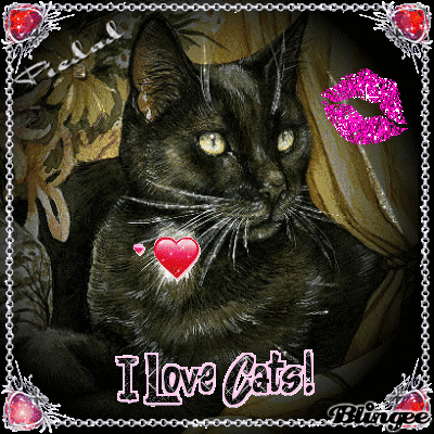 I LOVE BLACK CATS . . .by Piedad5007 Picture #136535694 ...