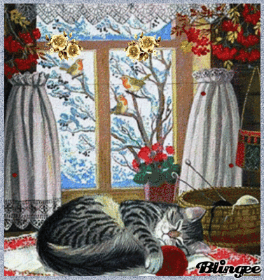 Cat Playing With Yarn Picture #136601499 | Blingee.com