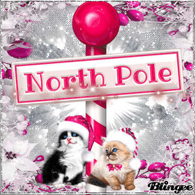North Pole 