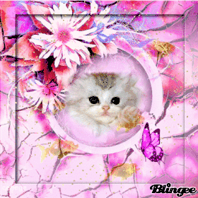 chat