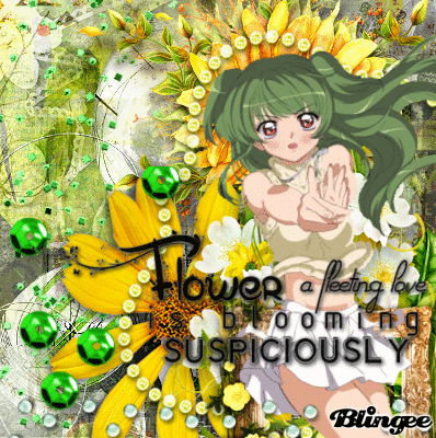 a flor do amor não nasce nas terras do ódio