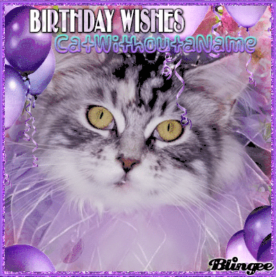 Https Encrypted Tbn0 Gstatic Com Images Q Tbn 3aand9gcsyvivztua042 Hsxvknzsbh9wtq3hd0sir2a Usqp Cau