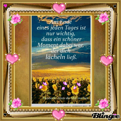 DER WUNDERSCHOENE SPRUCH DES LEBENS AM ENDE JEDEN TAGES IST WICHTIG