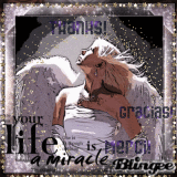 Thanks,Mercy,Gracias,Grazie