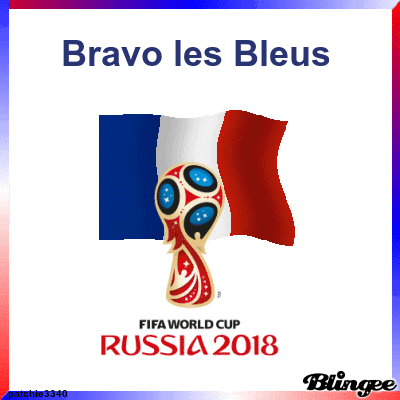 RÃ©sultat de recherche d'images pour "image de bravo les bleus"