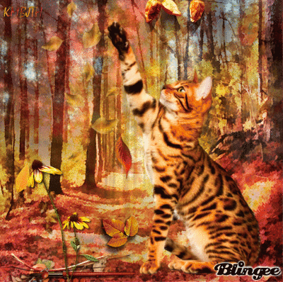 Autumn Kitty Picture #137146022 | Blingee.com