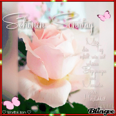 Https Encrypted Tbn0 Gstatic Com Images Q Tbn And9gcsxojlion1s36qrb9jszshkdz5w1onbdg33yq Usqp Cau