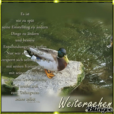 Spruch Bild 137153851 Blingee Com