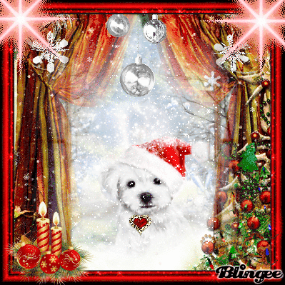 Merry Christmas Picture #137164778 | Blingee.com