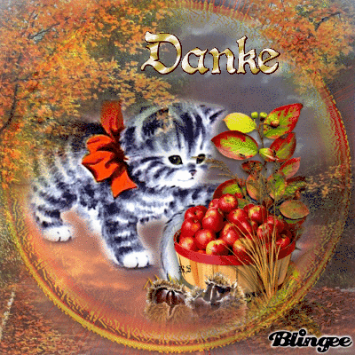 Https Encrypted Tbn0 Gstatic Com Images Q Tbn 3aand9gcs Zfdtpdaadh0drdsqusf21pfi4 7tb842bq Usqp Cau