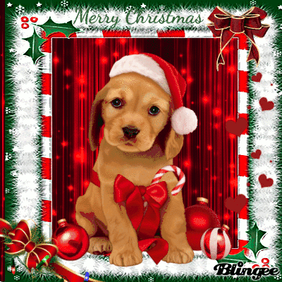 Christmas Dog Picture #137166649 | Blingee.com