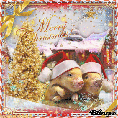 Christmas Pigs Picture #137170760 | Blingee.com
