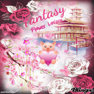 FANTAISIE ZODIAQUE COCHON