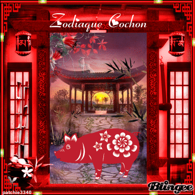 ZODIAQUE COCHON 5 ZODIAQUE COCHON 5