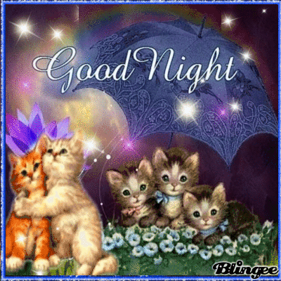 Https Encrypted Tbn0 Gstatic Com Images Q Tbn 3aand9gcsjgll2dsufix6zi9gwfhvonb7tmlo6 Vk4fg Usqp Cau