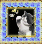 giRon_6268 giRon_6268